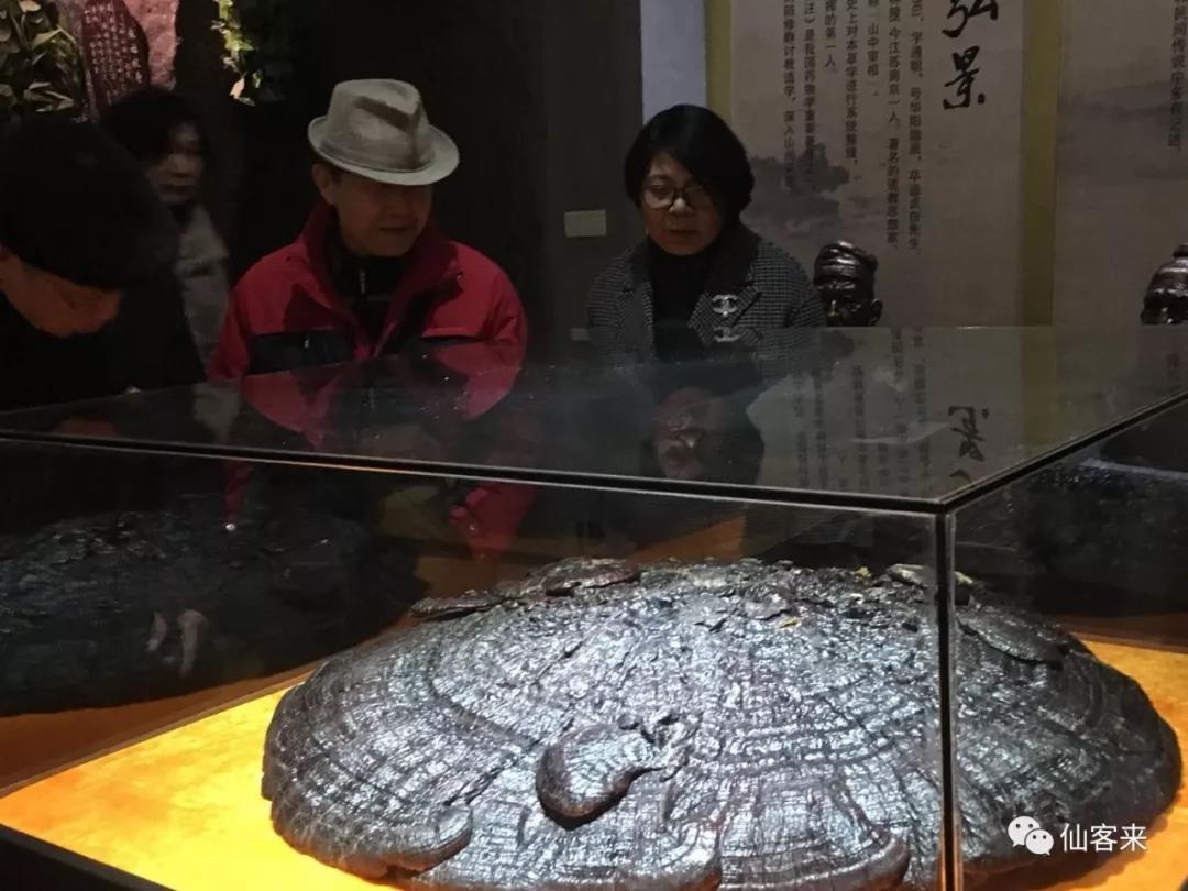 中國靈芝十大品牌|仙客來靈芝|仙客來靈芝破壁孢子粉|仙客來孢子油|仙客來靈芝飲片|仙客來破壁孢子粉|仙客來靈芝中藥飲片|馳名商標(biāo)|uglowindustry.com|