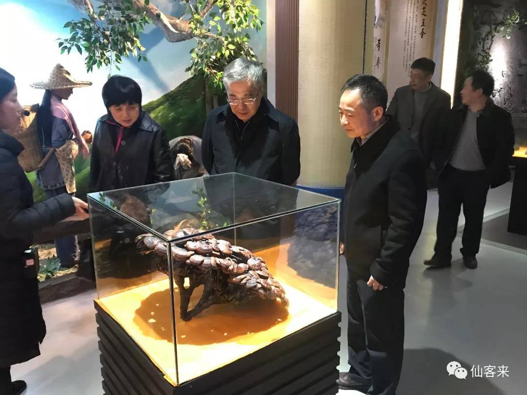 中國靈芝十大品牌|仙客來靈芝|仙客來靈芝破壁孢子粉|仙客來孢子油|仙客來靈芝飲片|仙客來破壁孢子粉|仙客來靈芝中藥飲片|馳名商標|uglowindustry.com|