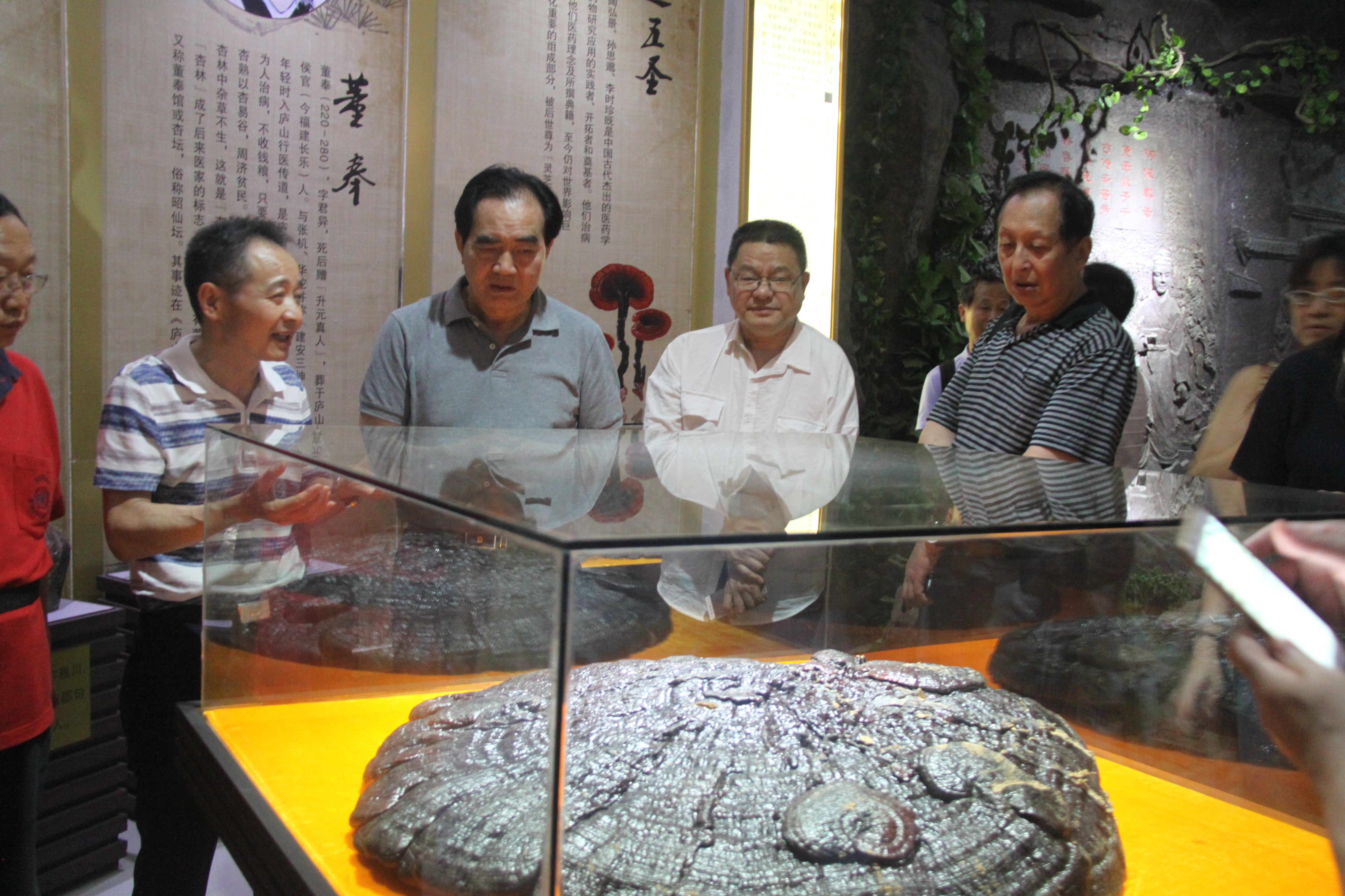中國靈芝十大品牌|仙客來靈芝|仙客來靈芝破壁孢子粉|仙客來孢子油|仙客來靈芝飲片|仙客來破壁孢子粉|仙客來靈芝中藥飲片|馳名商標(biāo)|uglowindustry.com|