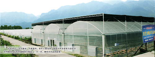 中國靈芝十大品牌|仙客來靈芝|仙客來靈芝破壁孢子粉|仙客來孢子油|仙客來靈芝飲片|仙客來破壁孢子粉|仙客來靈芝中藥飲片|馳名商標|uglowindustry.com|