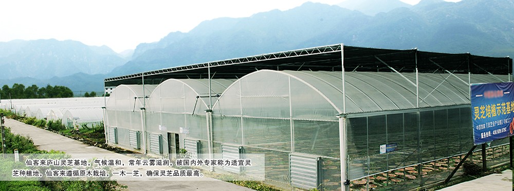 中國靈芝十大品牌|仙客來靈芝|仙客來靈芝破壁孢子粉|仙客來孢子油|仙客來靈芝飲片|仙客來破壁孢子粉|仙客來靈芝中藥飲片|馳名商標(biāo)|uglowindustry.com|