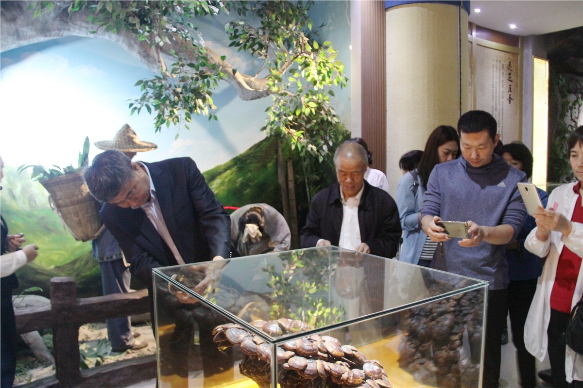 中國(guó)靈芝十大品牌|仙客來靈芝|仙客來靈芝破壁孢子粉|仙客來孢子油|仙客來靈芝飲片|仙客來破壁孢子粉|仙客來靈芝中藥飲片|馳名商標(biāo)|uglowindustry.com|