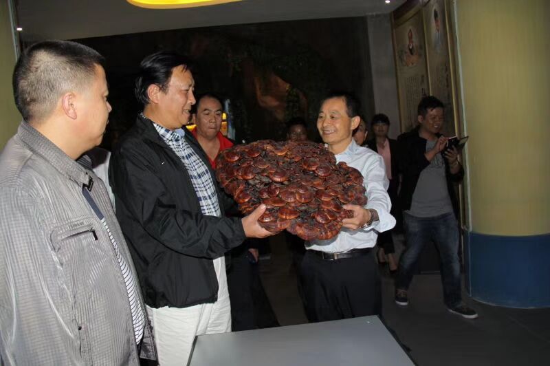 中國(guó)靈芝十大品牌|仙客來(lái)靈芝|仙客來(lái)靈芝破壁孢子粉|仙客來(lái)孢子油|仙客來(lái)靈芝飲片|仙客來(lái)破壁孢子粉|仙客來(lái)靈芝中藥飲片|馳名商標(biāo)|uglowindustry.com|
