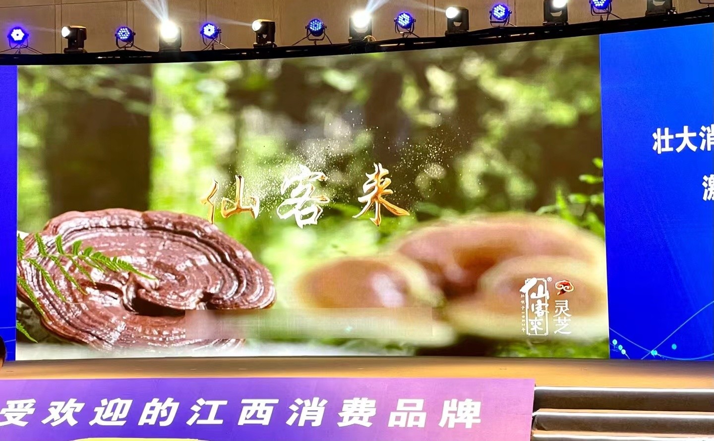 杭州亞運(yùn)會(huì)官方靈芝產(chǎn)品供應(yīng)商|杭州亞運(yùn)會(huì)官方供應(yīng)商|中國靈芝十大品牌|仙客來靈芝|仙客來靈芝破壁孢子粉|仙客來孢子油|仙客來靈芝飲片|仙客來破壁孢子粉|靈芝孢子油|孢子粉|靈芝破壁孢子粉|靈芝|中華老字號(hào)