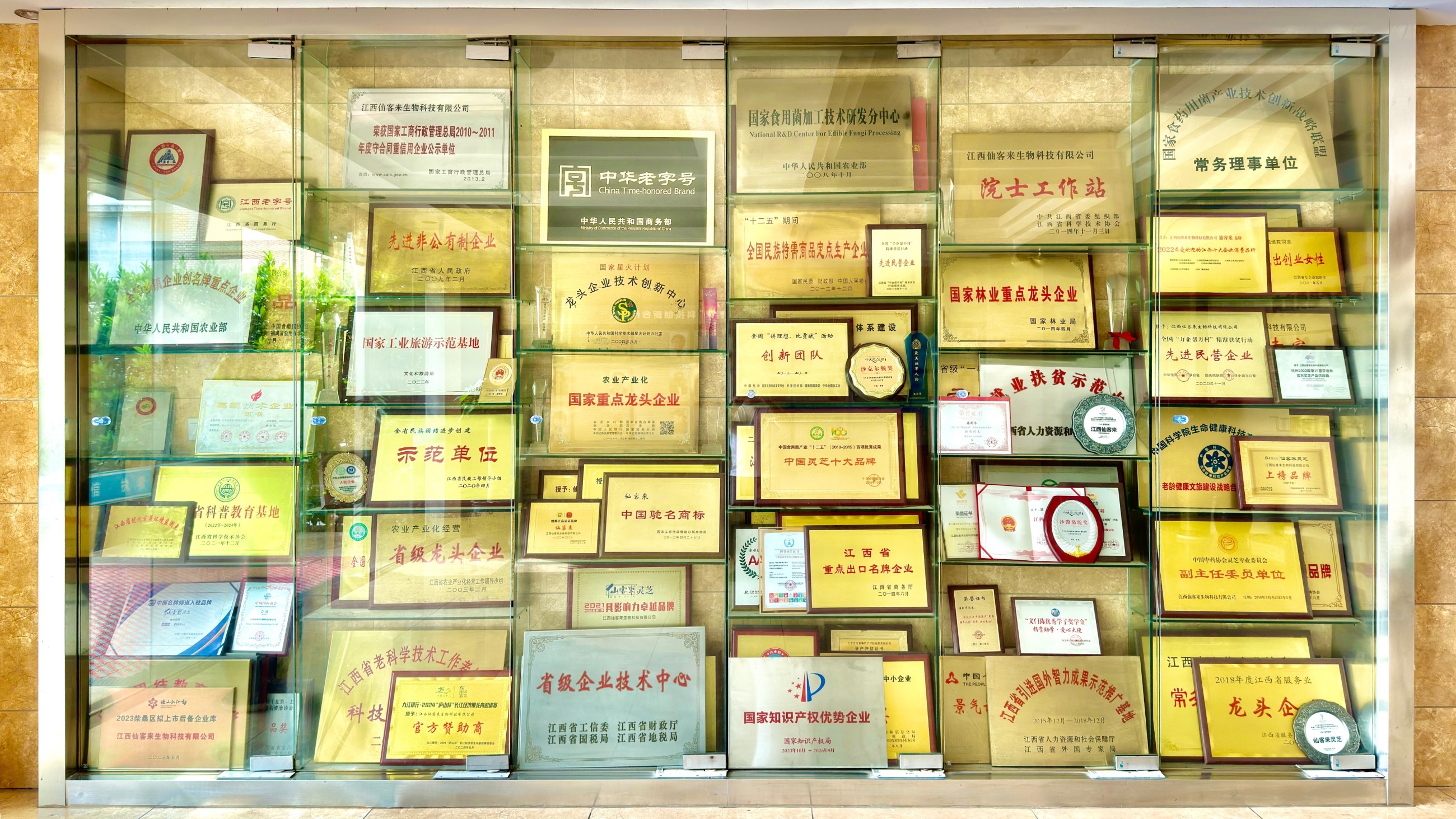 仙客來有機(jī)靈芝全產(chǎn)業(yè)鏈