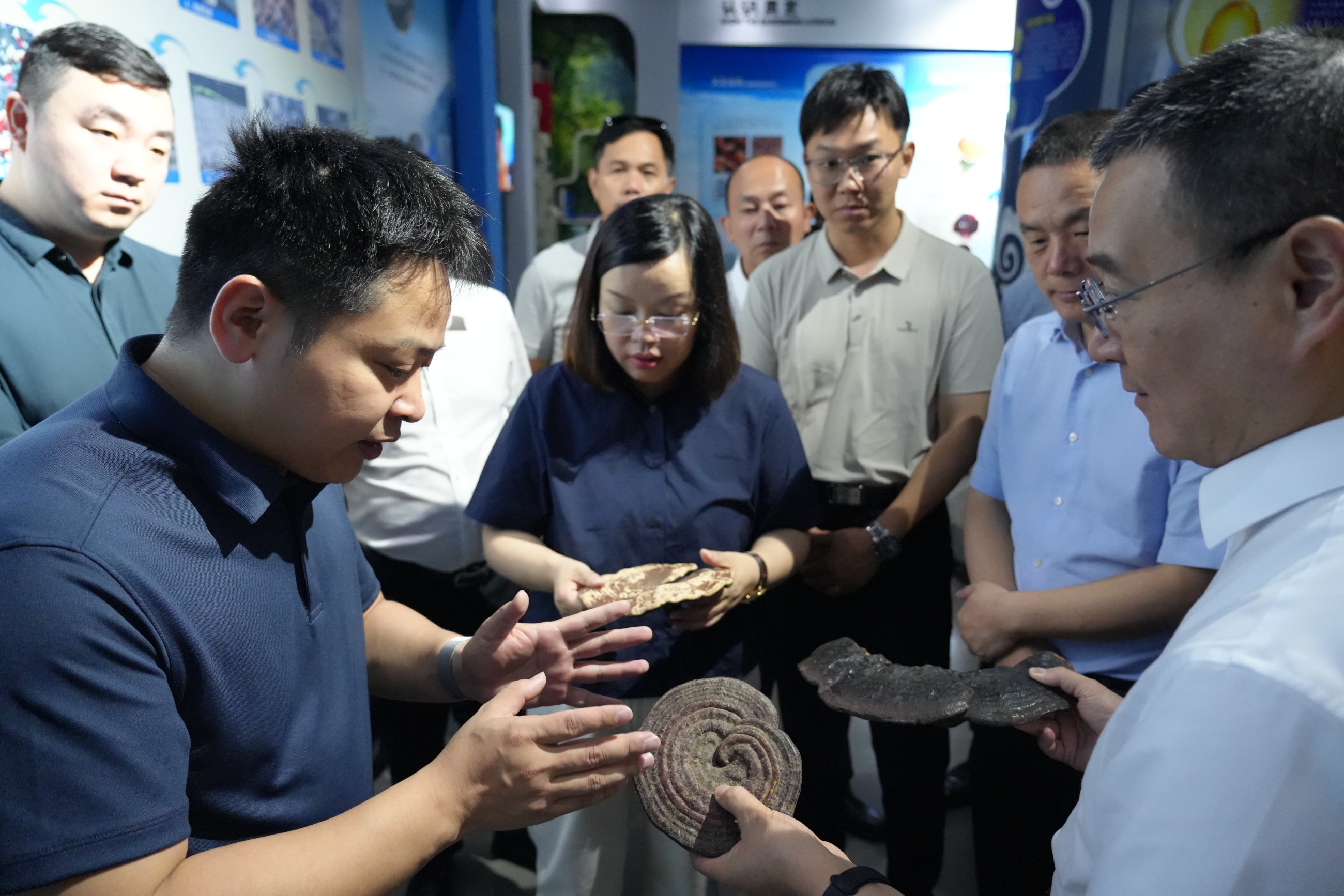 杭州亞運會官方靈芝產品供應商|杭州亞運會官方供應商|中國靈芝十大品牌|仙客來靈芝|仙客來靈芝破壁孢子粉|仙客來孢子油|仙客來靈芝飲片|仙客來破壁孢子粉|靈芝孢子油|孢子粉|靈芝破壁孢子粉|靈芝|中華老字號