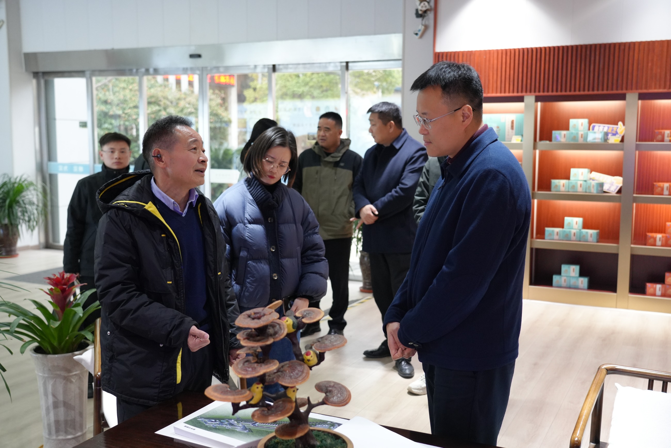 杭州亞運會官方靈芝產(chǎn)品供應(yīng)商|杭州亞運會官方供應(yīng)商|中國靈芝十大品牌|仙客來靈芝|仙客來靈芝破壁孢子粉|仙客來孢子油|仙客來靈芝飲片|仙客來破壁孢子粉|靈芝孢子油|孢子粉|靈芝破壁孢子粉|靈芝|中華老字號 杭州亞運會官方靈芝產(chǎn)品供應(yīng)商|杭州亞運會官方供應(yīng)商|中國靈芝十大品牌|仙客來靈芝|仙客來靈芝破壁孢子粉|仙客來孢子油|仙客來靈芝飲片|仙客來破壁孢子粉|靈芝孢子油|孢子粉|靈芝破壁孢子粉|靈芝|中華老字號