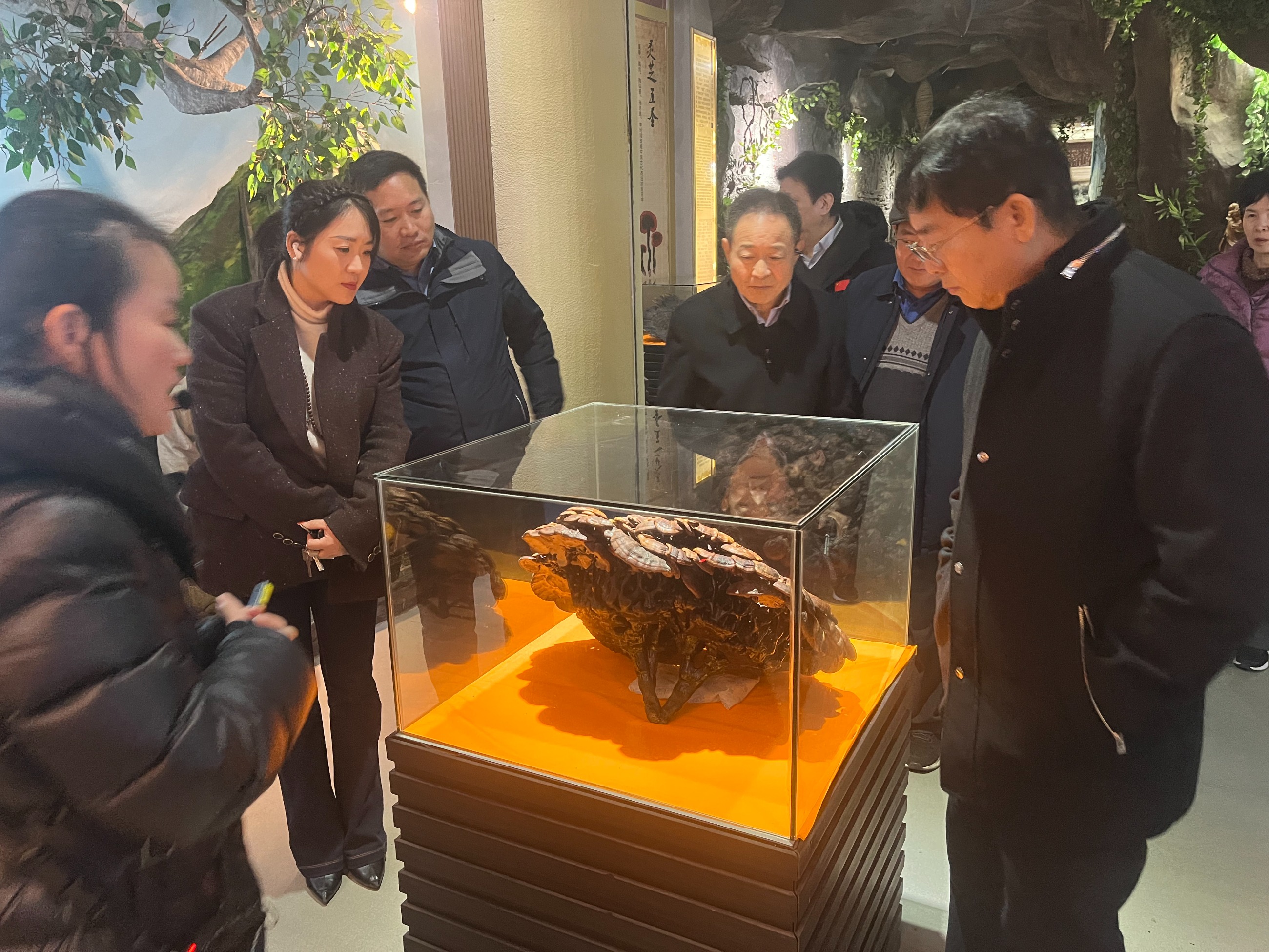 杭州亞運(yùn)會(huì)官方靈芝產(chǎn)品供應(yīng)商|杭州亞運(yùn)會(huì)官方供應(yīng)商|中國(guó)靈芝十大品牌|仙客來(lái)靈芝|仙客來(lái)靈芝破壁孢子粉|仙客來(lái)孢子油|仙客來(lái)靈芝飲片|仙客來(lái)破壁孢子粉|靈芝孢子油|孢子粉|靈芝破壁孢子粉|靈芝|中華老字號(hào) 杭州亞運(yùn)會(huì)官方靈芝產(chǎn)品供應(yīng)商|杭州亞運(yùn)會(huì)官方供應(yīng)商|中國(guó)靈芝十大品牌|仙客來(lái)靈芝|仙客來(lái)靈芝破壁孢子粉|仙客來(lái)孢子油|仙客來(lái)靈芝飲片|仙客來(lái)破壁孢子粉|靈芝孢子油|孢子粉|靈芝破壁孢子粉|靈芝|中華老字號(hào)