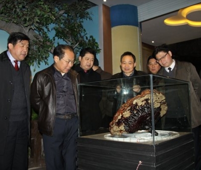 市委常委、宣傳部長(zhǎng)潘熙寧，副市長(zhǎng)盧天錫蒞臨仙客來公司走訪