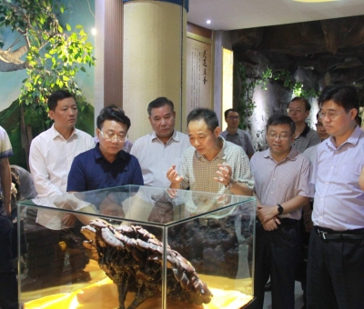 &ldquo;降成本，優(yōu)環(huán)境&rdquo;助企業(yè)騰飛&mdash;&mdash;江西省政協(xié)副主席率團調(diào)研仙客來！