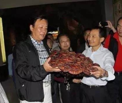 這樣過三月才是人生贏家！