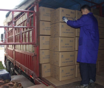 【4天加班15次缺貨】只為人皆有“芝”！