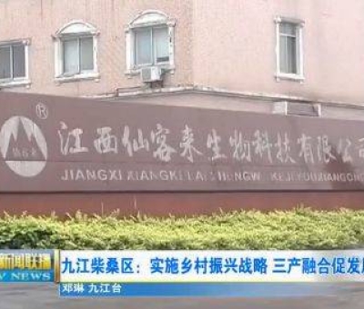 中國人只需要“別具”，缺失了“匠心”！