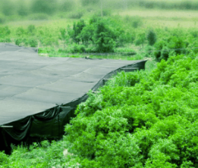 感謝廬山吧，這會(huì)是一場“仙旅情緣”