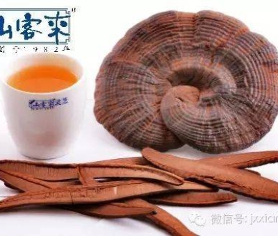 熱潮不斷！仙客來有機(jī)靈芝被點(diǎn)贊刷屏