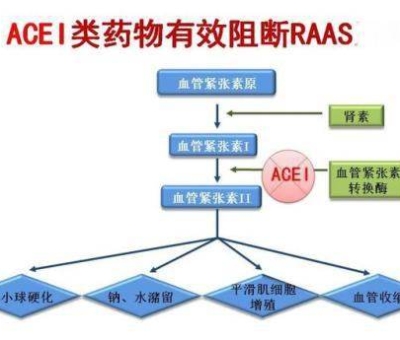 不吃藥，能降低高血壓？