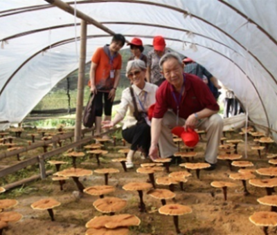 “七一勛章”獲得者張桂梅背后的故事：他們將靈芝磨成粉，送給她拌飯吃，說，吃這些能治病