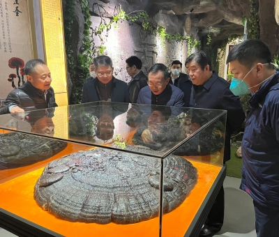 景德鎮(zhèn)市原副市長(zhǎng)徐耀純等蒞臨仙客來公司考察調(diào)研