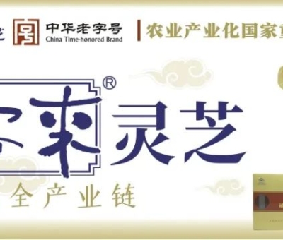 贊助商-仙客來靈芝，為健康加油